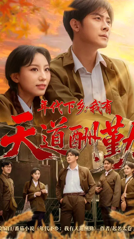 年代下乡我有天道酬勤
