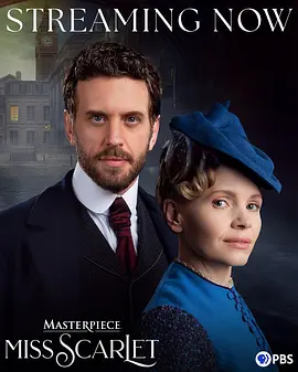 斯嘉麗小姐探案集第六季