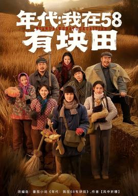 年代我在58有塊田