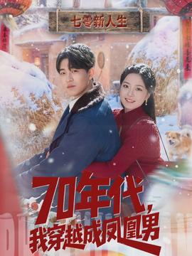 年代，我穿越成鳳凰男