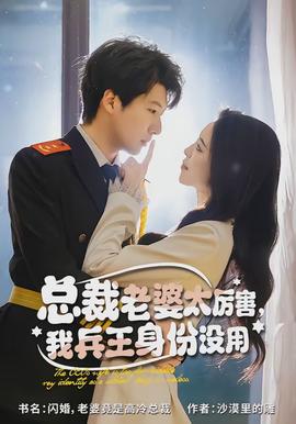 總裁老婆太厲害，我兵王身份沒用