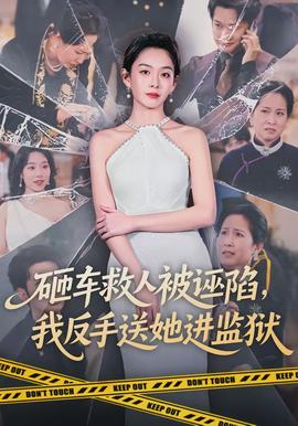 砸車救人被誣陷，我反手送她進(jìn)監(jiān)獄