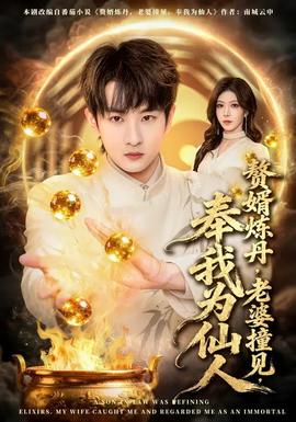贅婿煉丹，老婆撞見(jiàn)，奉我為仙人