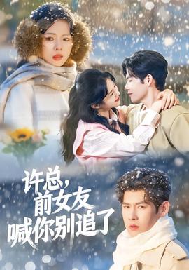 許總，前女友喊你別追了