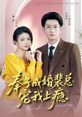 奉子成婚裴總寵我上癮