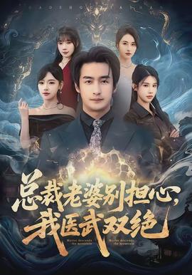 總裁老婆別擔(dān)心，我醫(yī)武雙絕