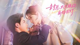 封總，太太跟你離婚很久了