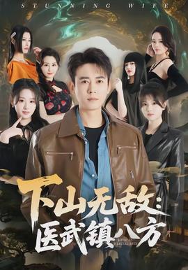 下山無敵：醫(yī)武鎮(zhèn)八方