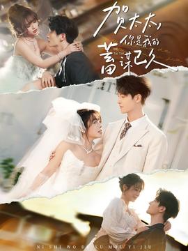 賀太太，你是我的蓄謀已久