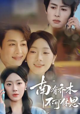 南有喬木，不可休思