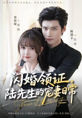 閃婚領(lǐng)證，陸先生的寵妻日常