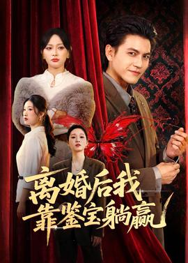 離婚后我靠鑒寶躺贏