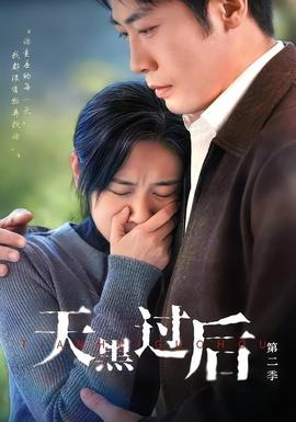 铁血军魂电视剧